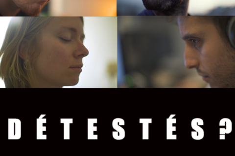 Detestes webserie