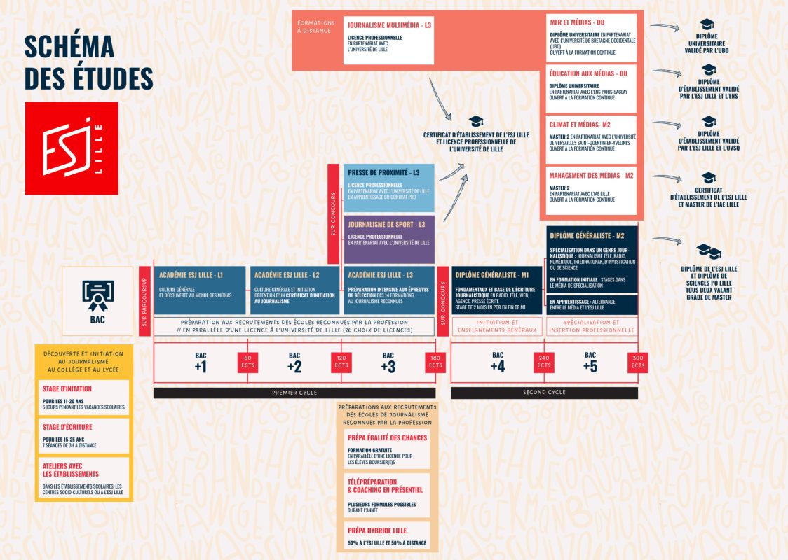 schema-des-études-esj-lille-web